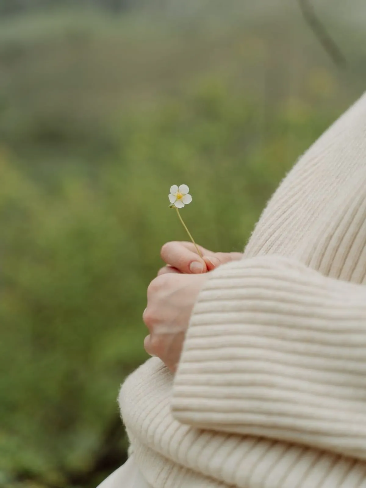 Merino Ribbed Knit — view 2